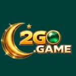 2GO Game logo