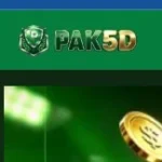 Pak5D-Game-logo
