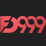 FD999-Game