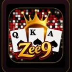 Zee9-Game