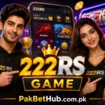 222RS-game